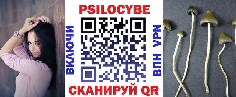 Галлюциногенные грибы Psilocybe  Балашов 